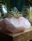 Rose quartz candle/plant holder 1