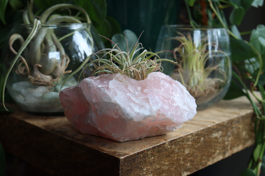 Rose quartz candle/plant holder 1