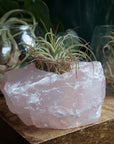 Rose quartz candle/plant holder 2