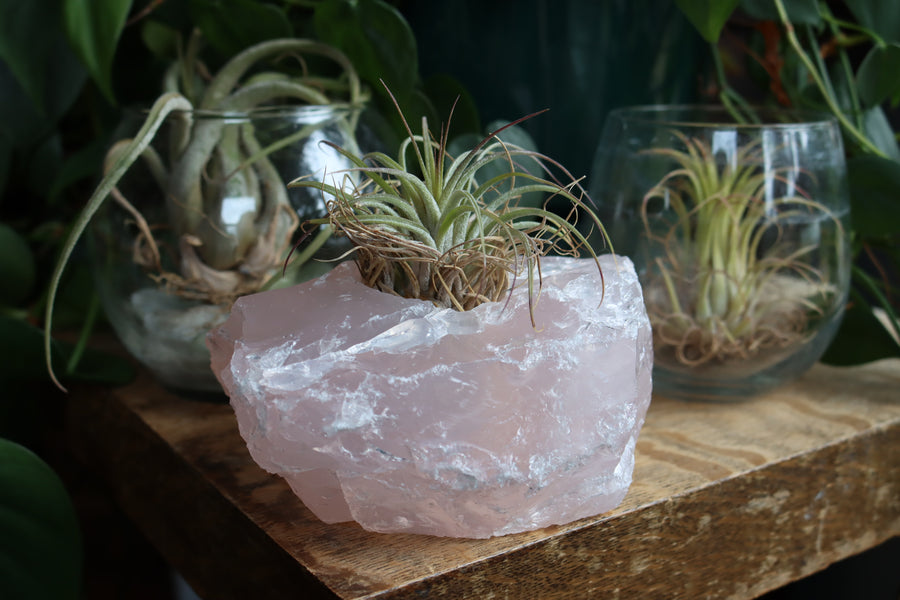 Rose quartz candle/plant holder 2