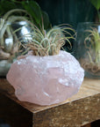 Rose quartz candle/plant holder 2