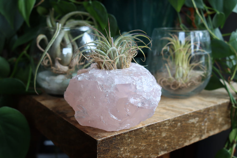 Rose quartz candle/plant holder 2