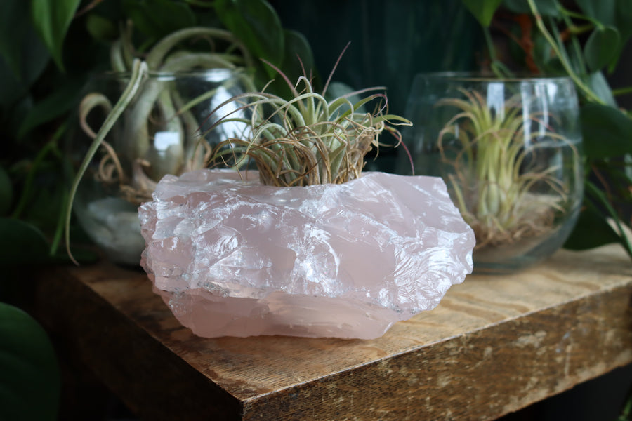 Rose quartz candle/plant holder 2