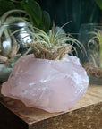 Rose quartz candle/plant holder 2