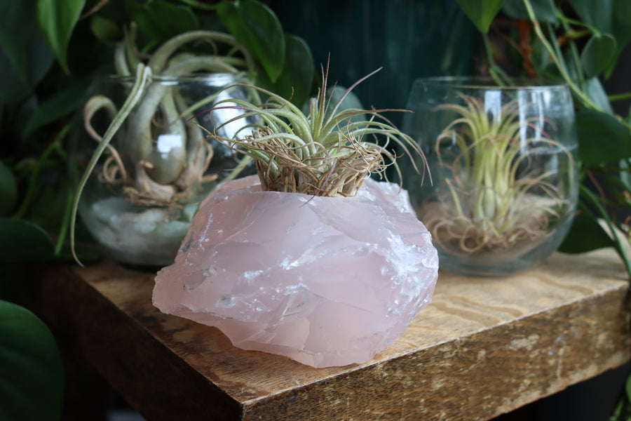 Rose quartz candle/plant holder 2