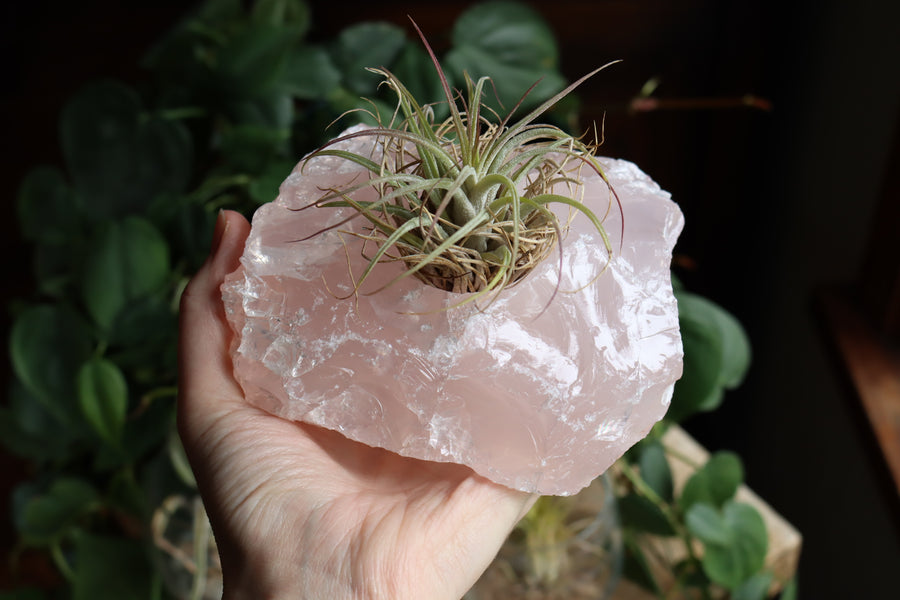 Rose quartz candle/plant holder 2