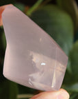 Gemmy rose quartz free form from Mozambique 5, new