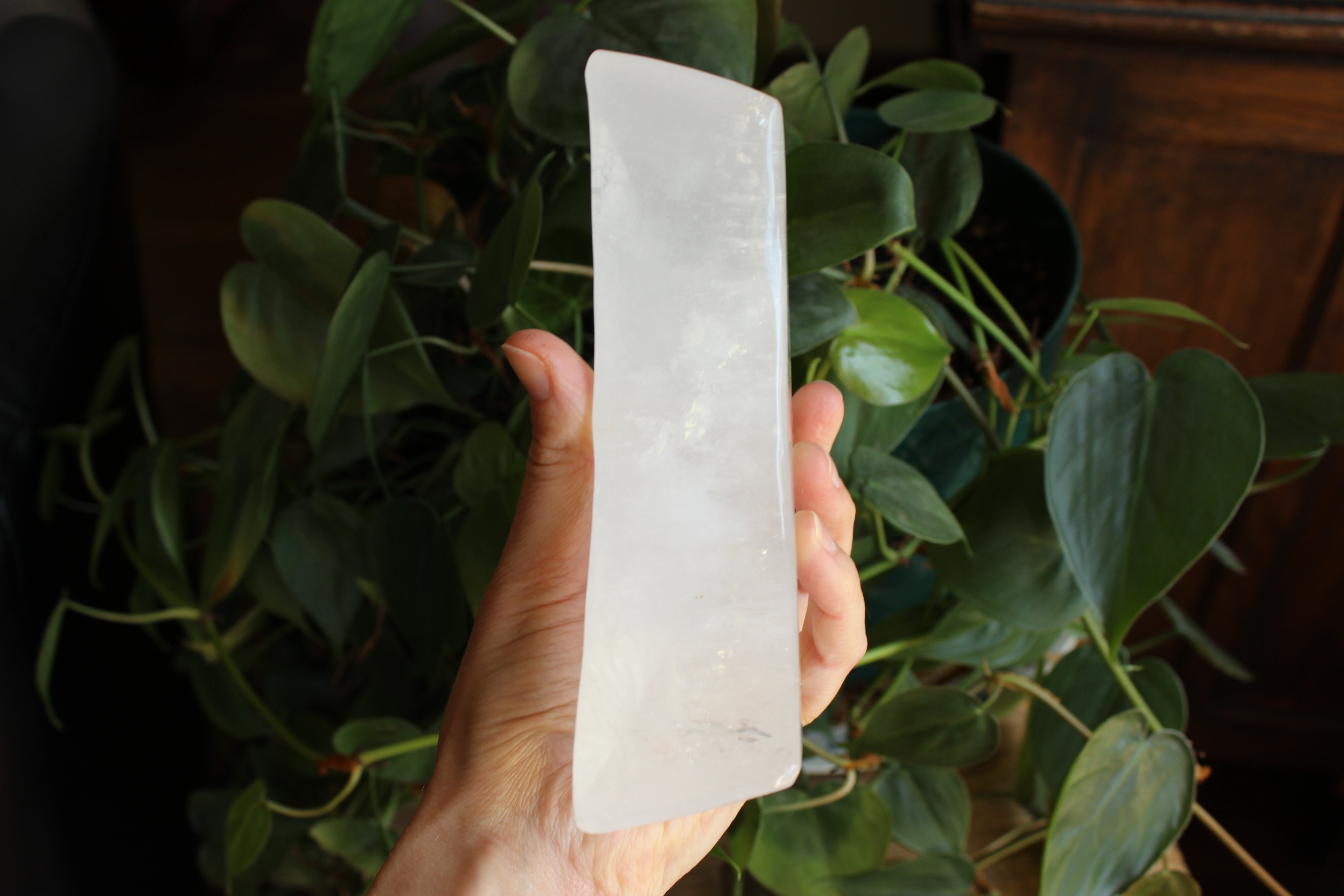 Quartz moon dish 1, new