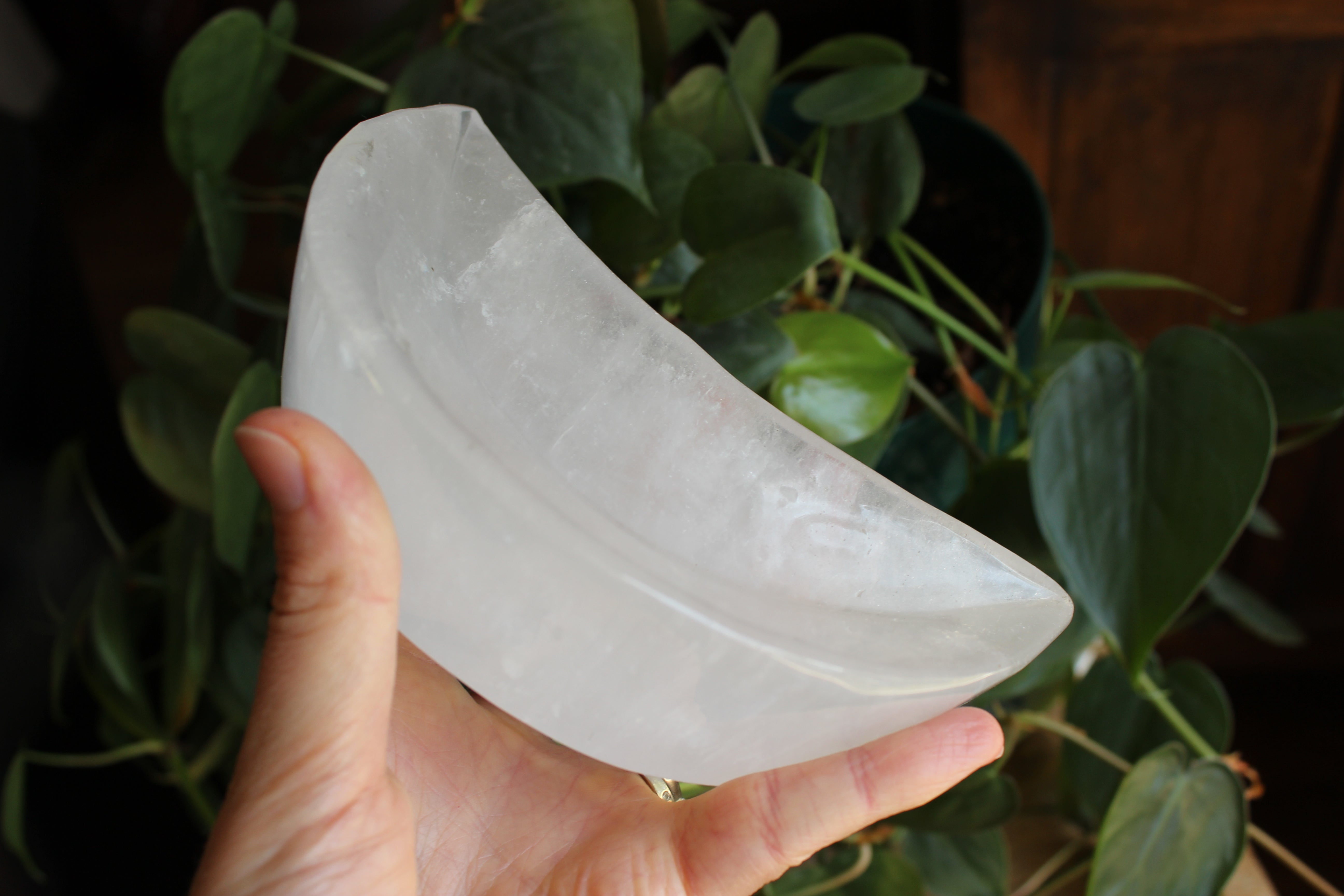 Quartz moon dish 1, new