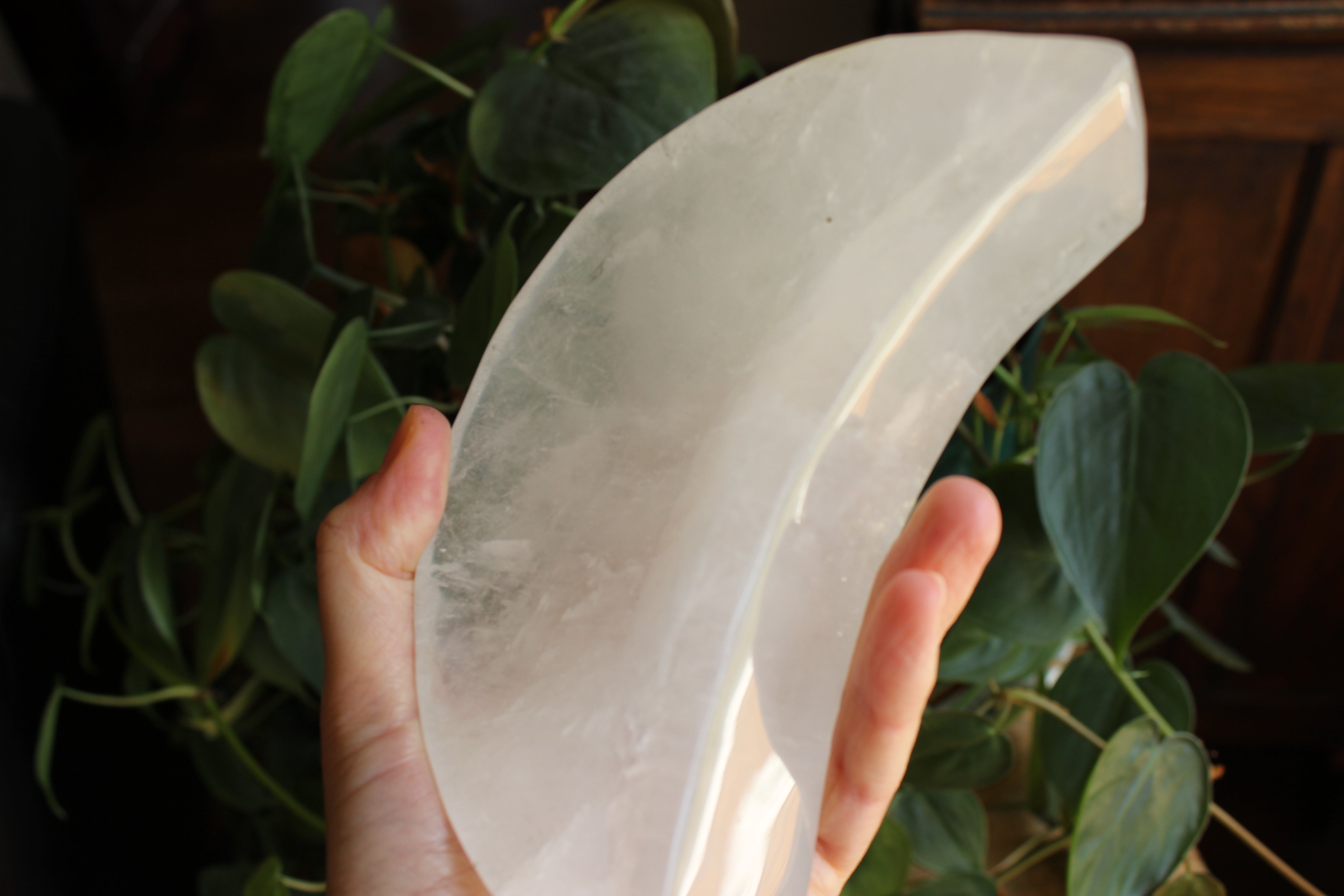 Quartz moon dish 1, new