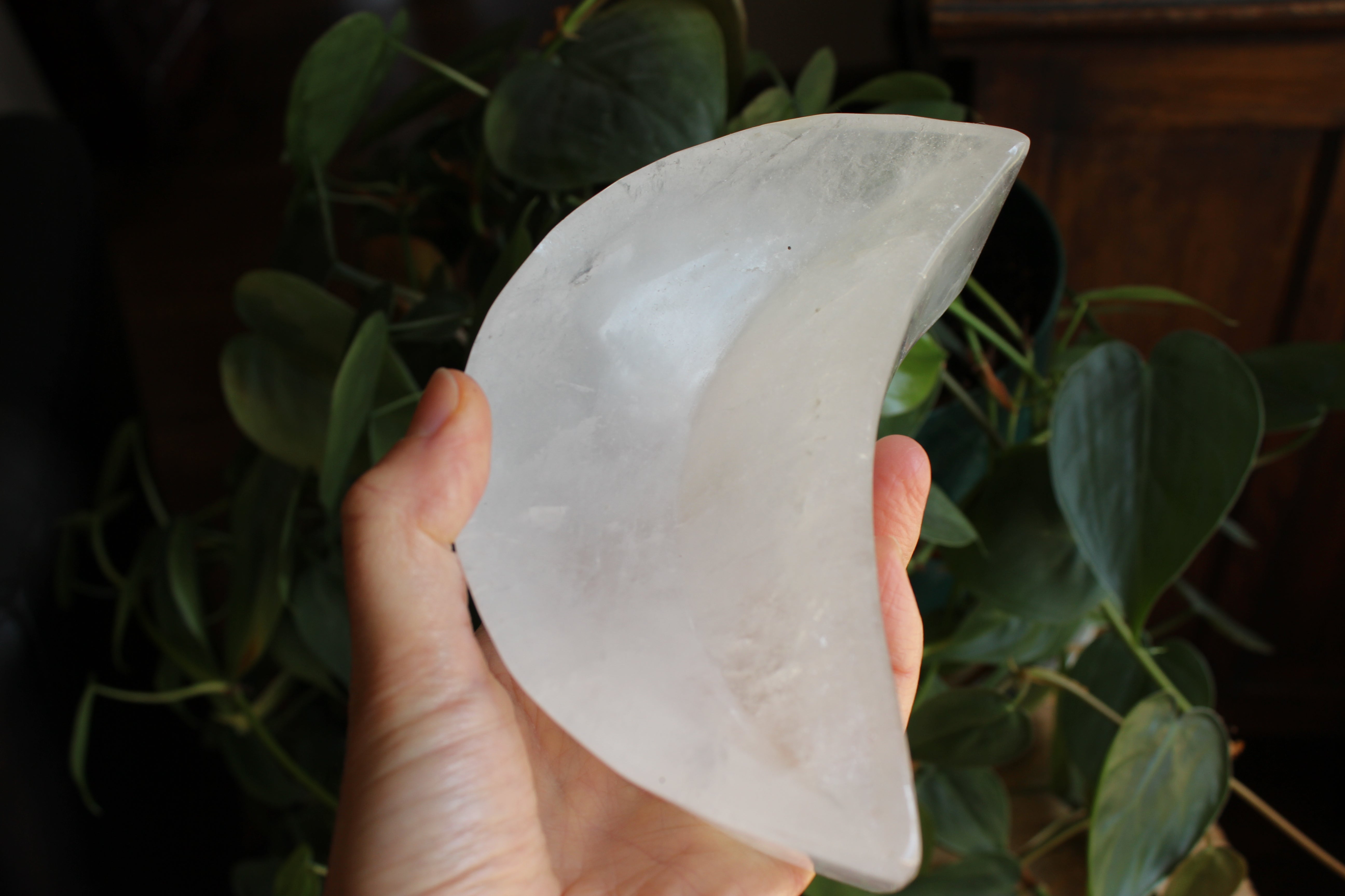 Quartz moon dish 1, new