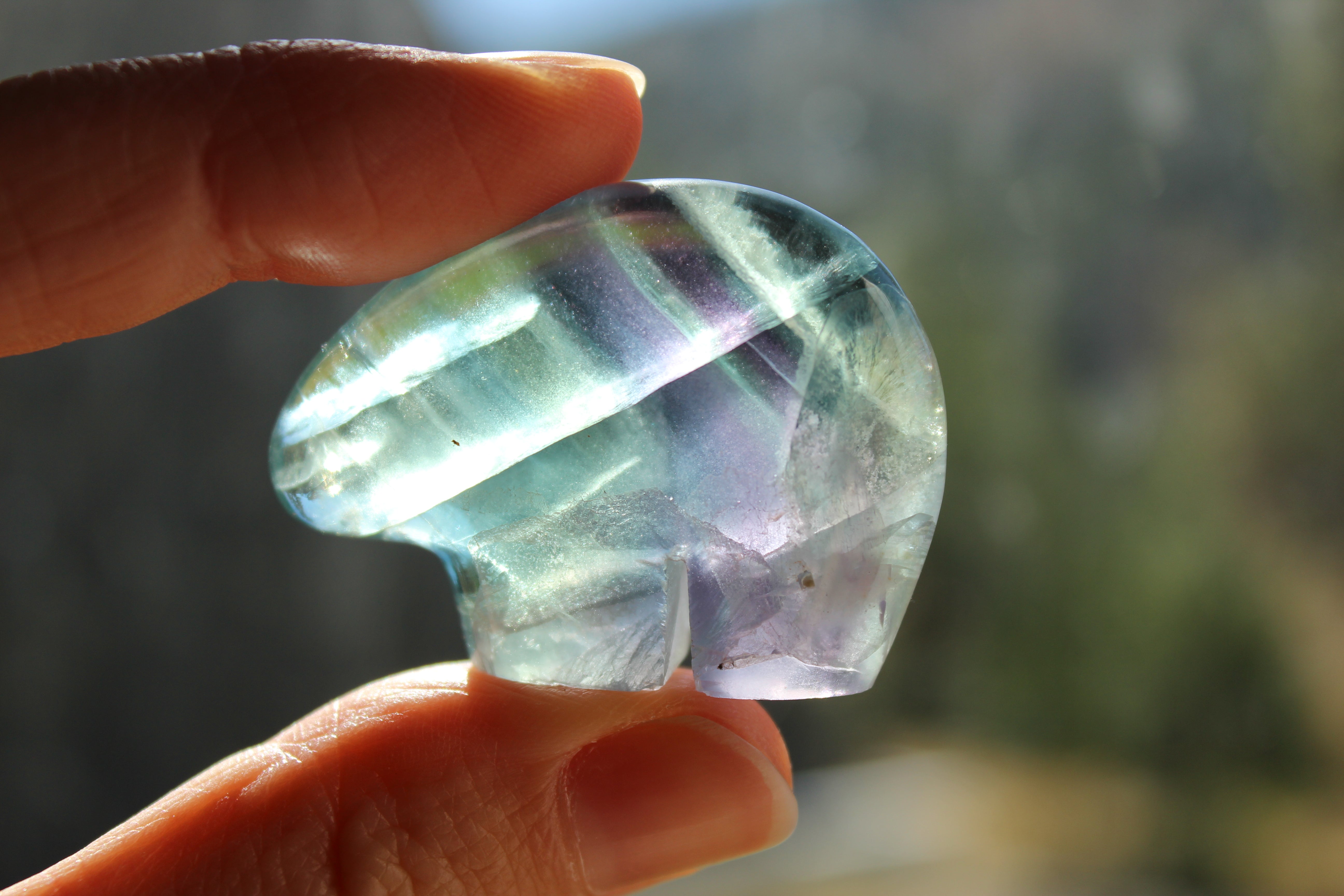 Rainbow fluorite bear 1, new