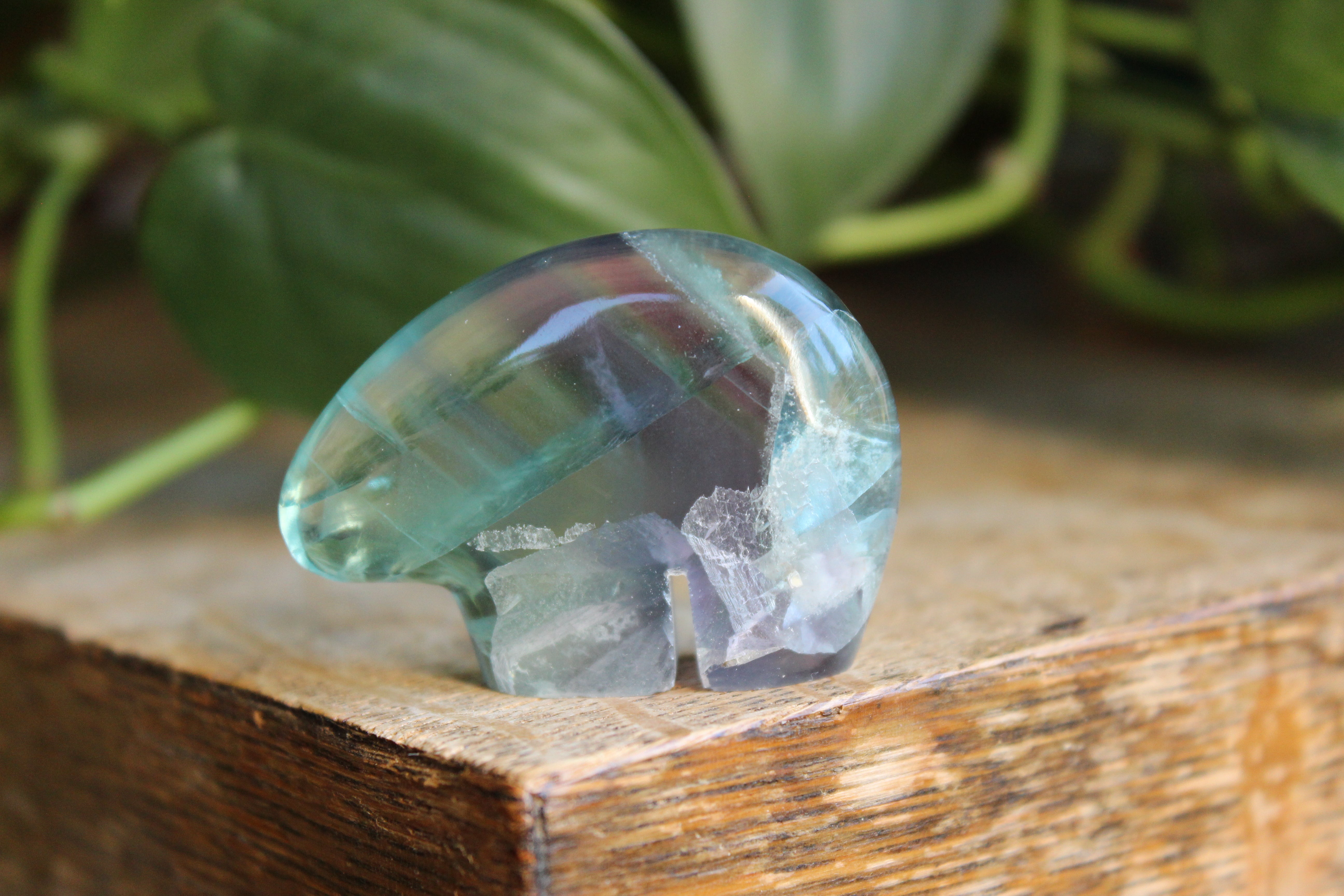 Rainbow fluorite bear 1, new