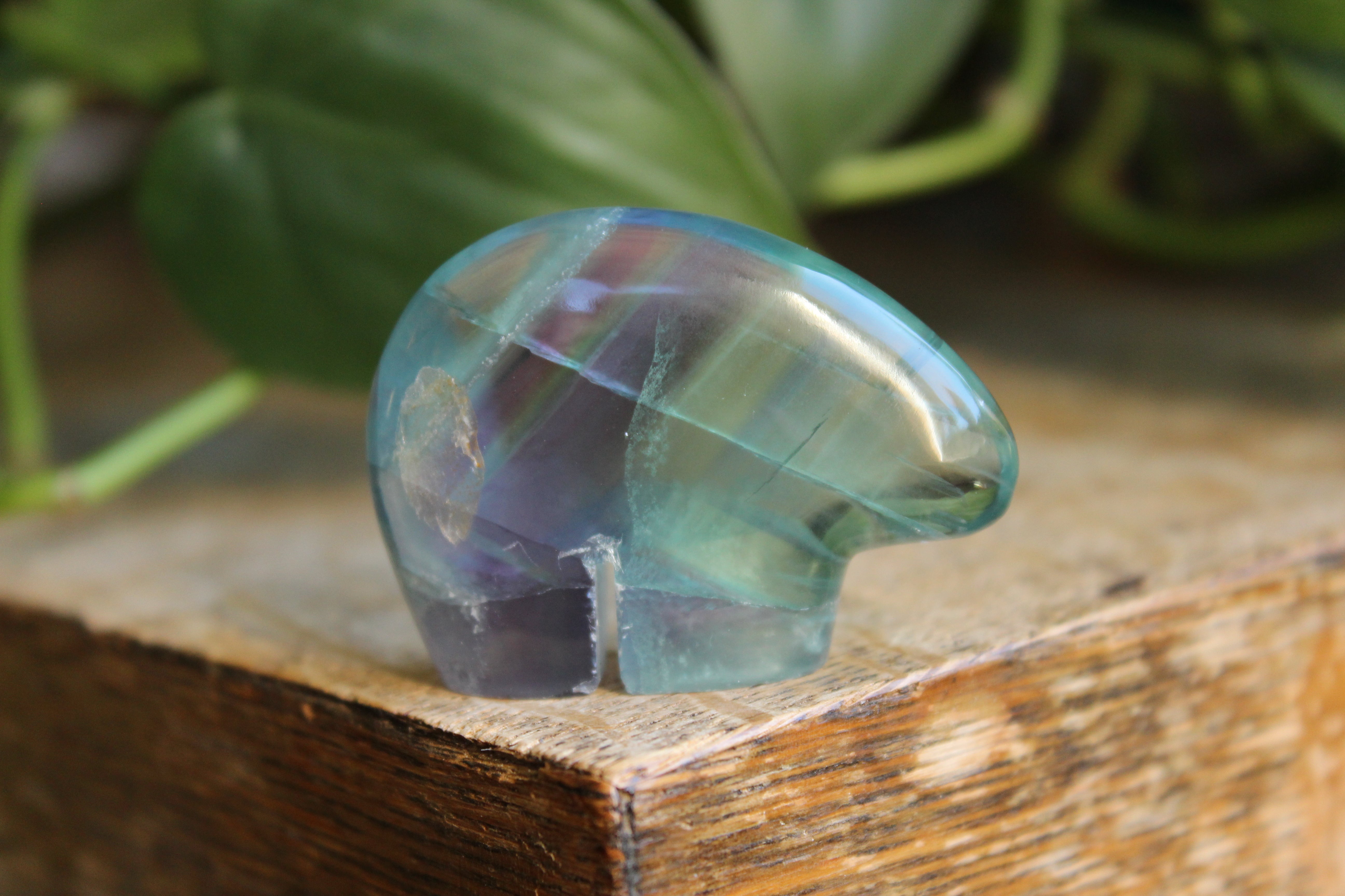 Rainbow fluorite bear 1, new