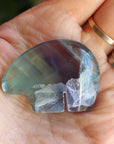 Rainbow fluorite bear 1, new