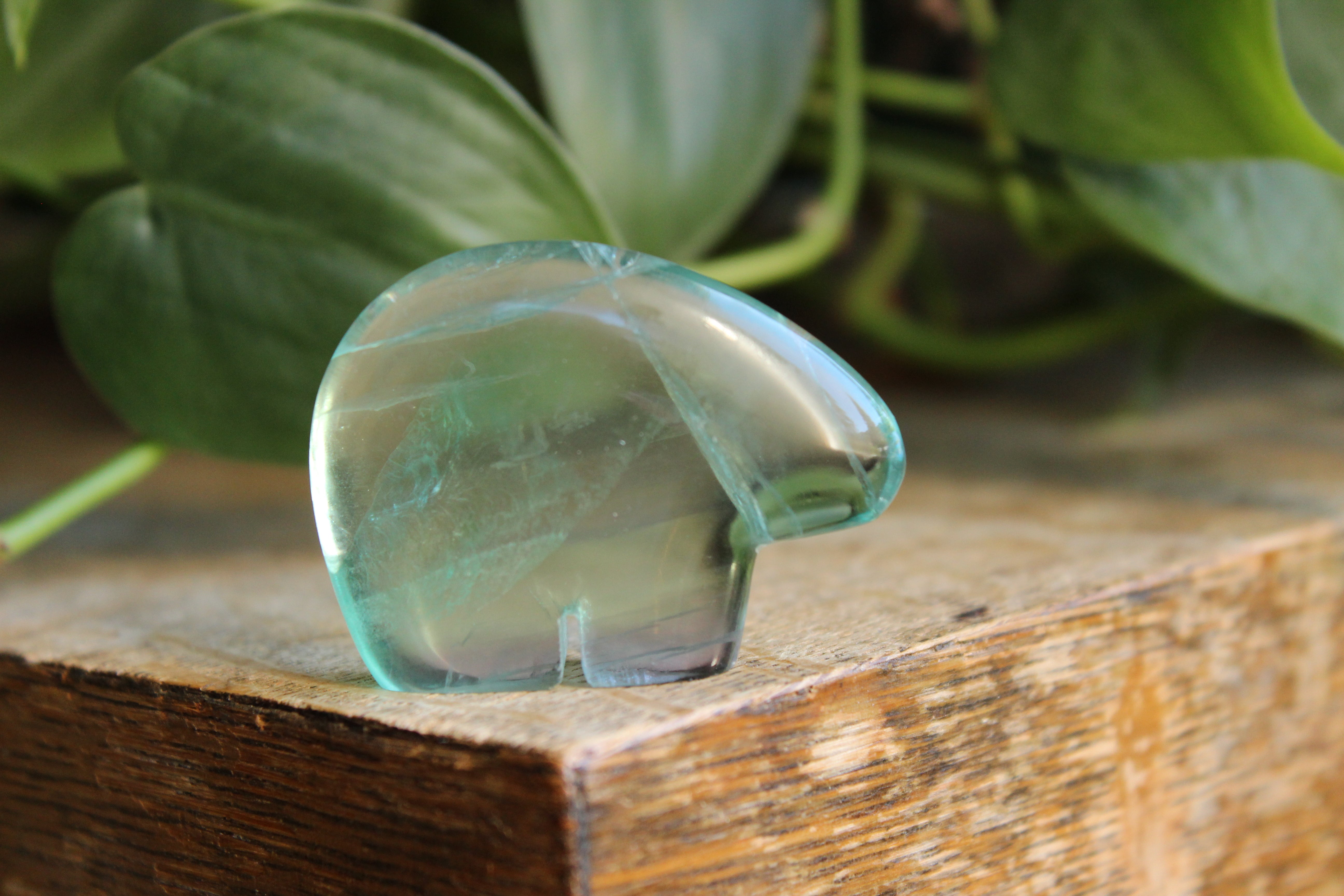 Rainbow fluorite bear 2, new