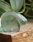 Rainbow fluorite bear 2, new
