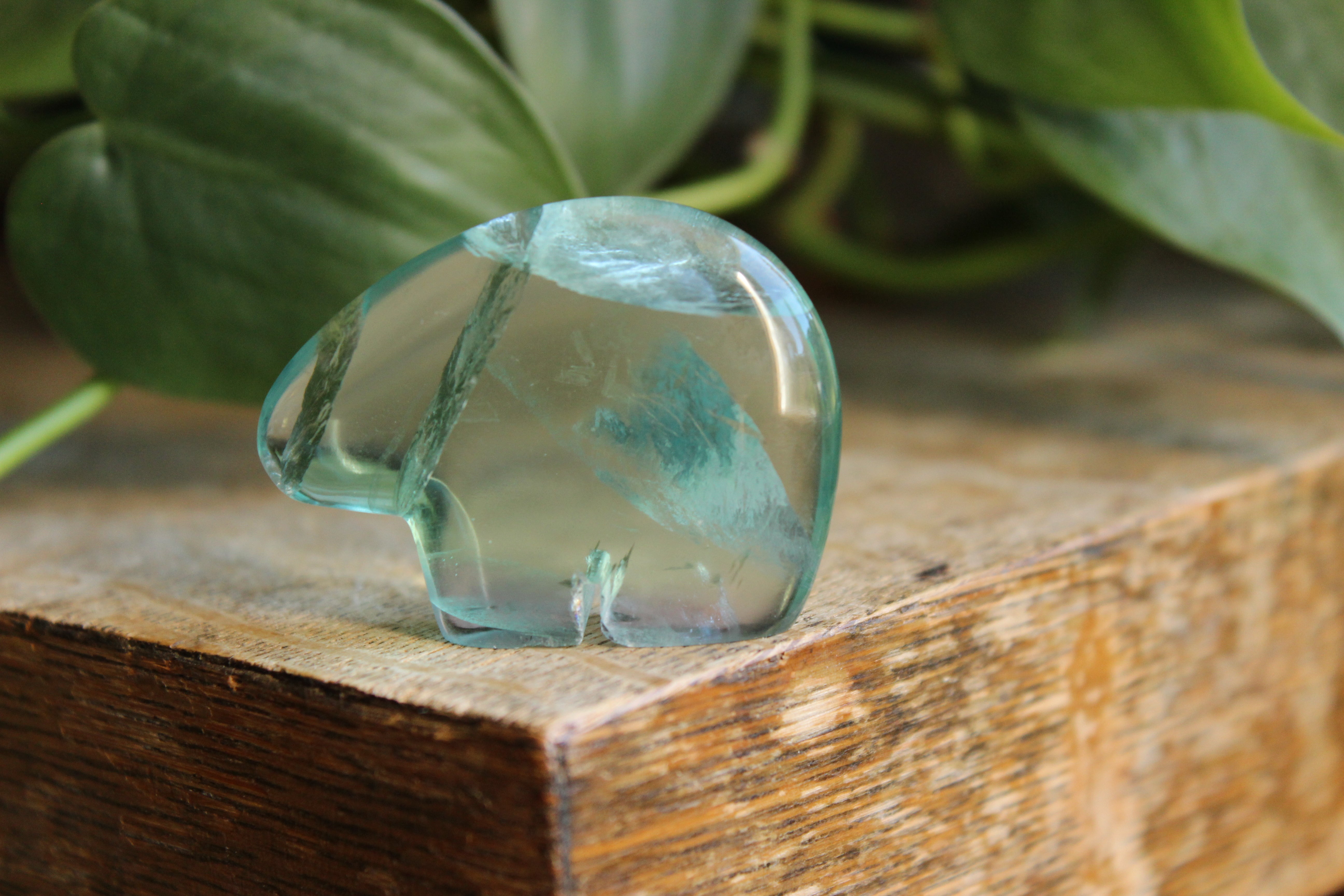 Rainbow fluorite bear 2, new