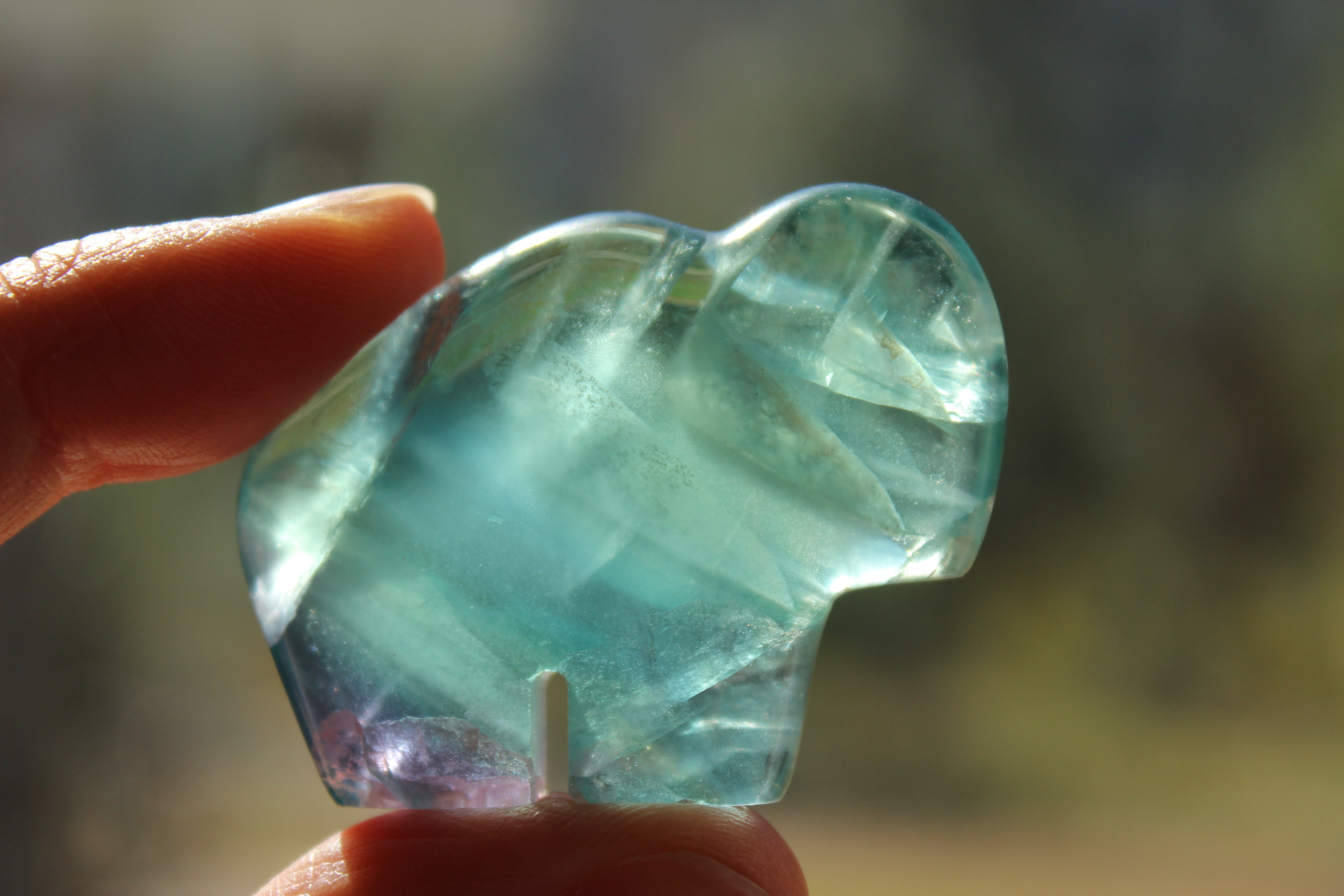 Rainbow fluorite buffalo 1, new