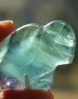 Rainbow fluorite buffalo 1, new