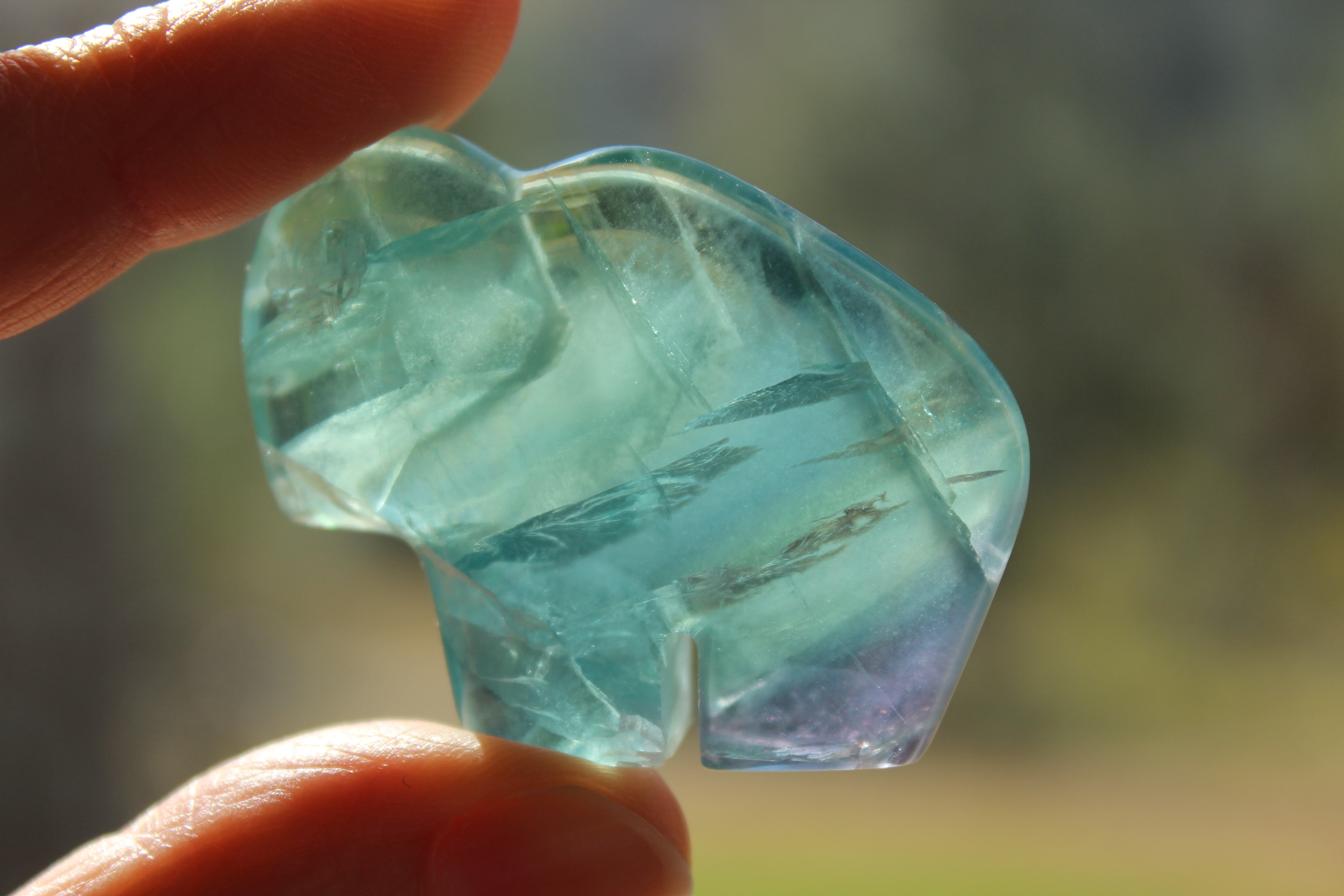 Rainbow fluorite buffalo 1, new
