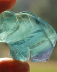 Rainbow fluorite buffalo 1, new