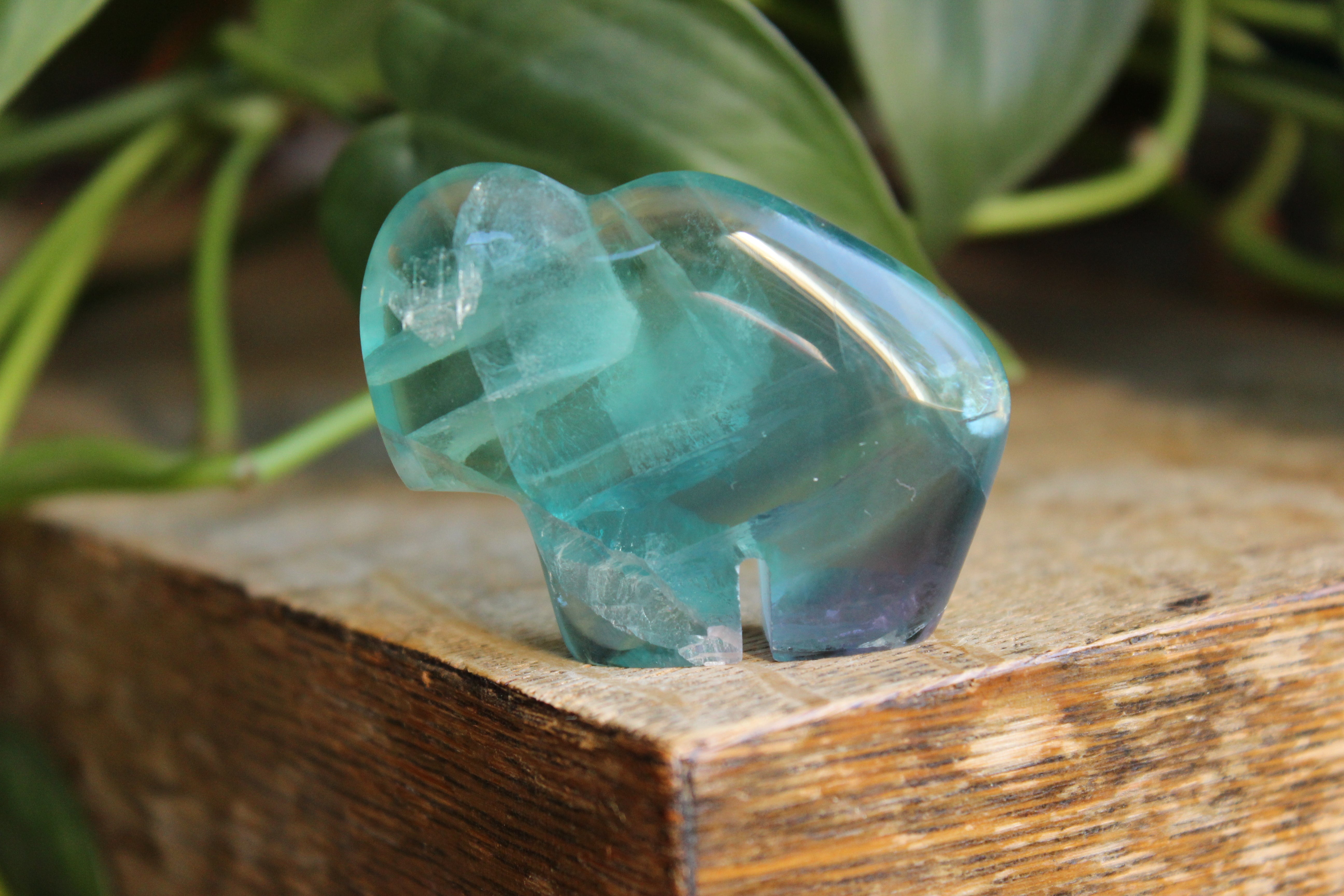 Rainbow fluorite buffalo 1, new