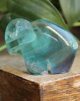 Rainbow fluorite buffalo 1, new