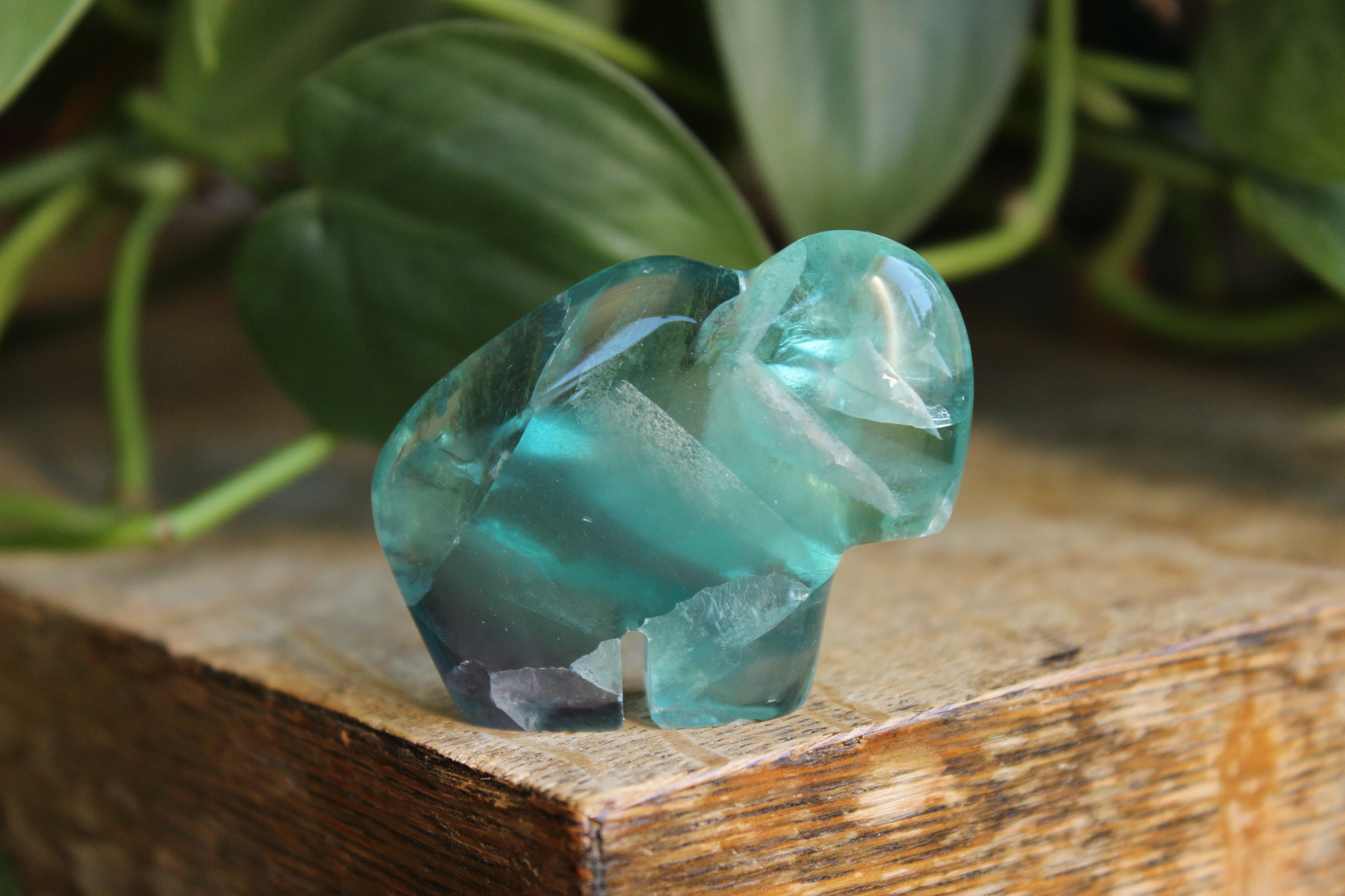 Rainbow fluorite buffalo 1, new