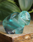 Rainbow fluorite buffalo 1, new