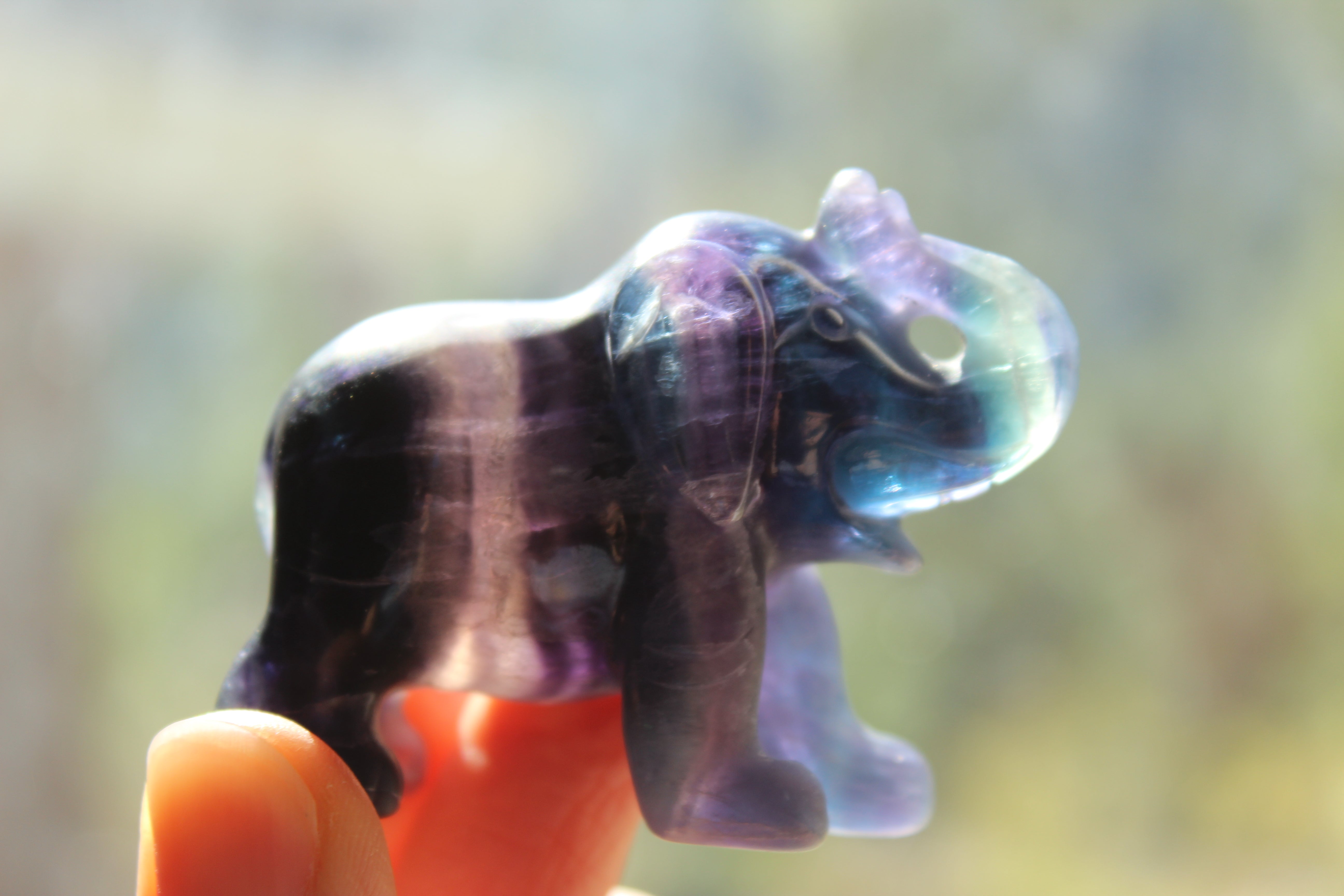 Fluorite elephant 1, new