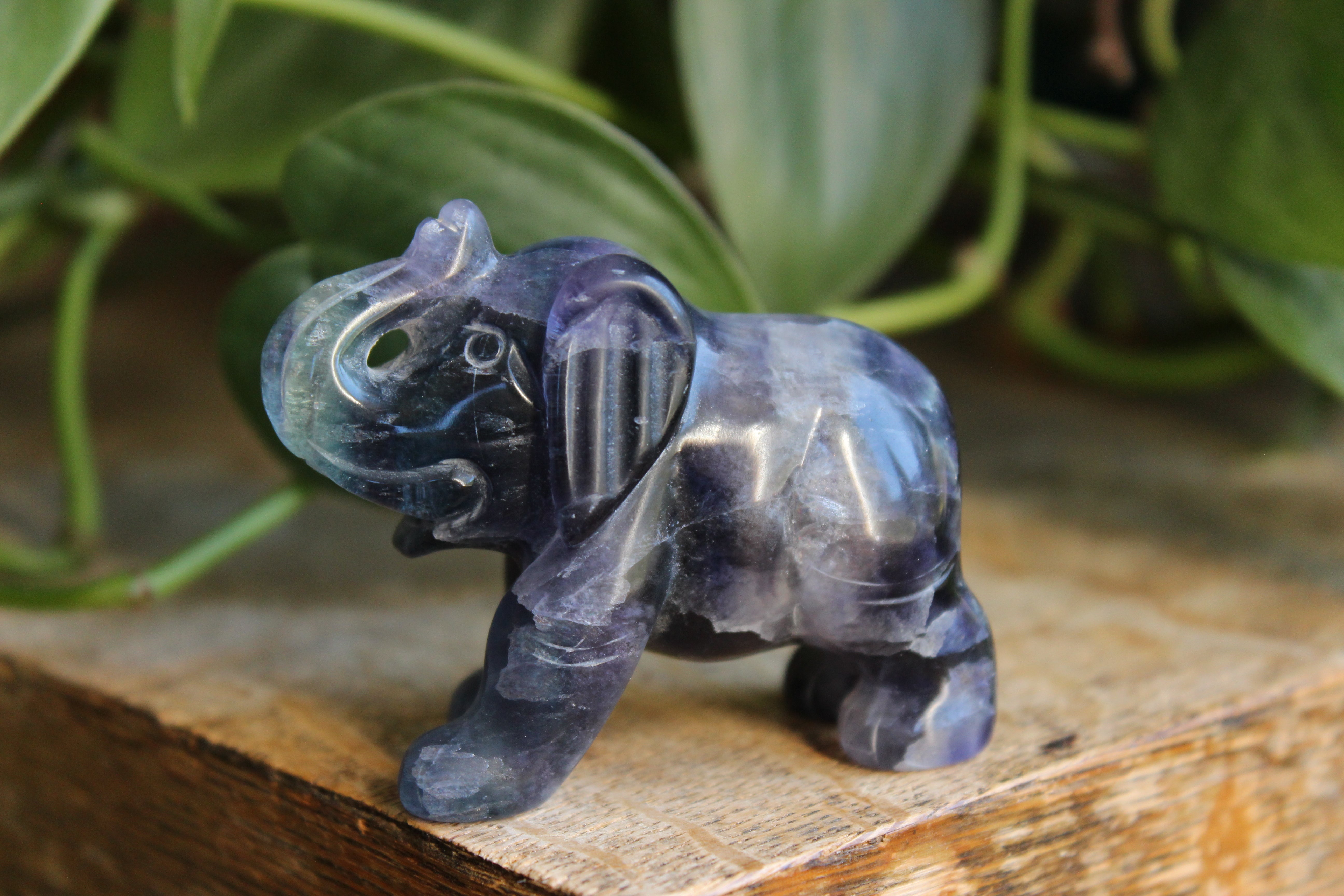 Fluorite elephant 1, new