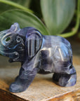Fluorite elephant 1, new