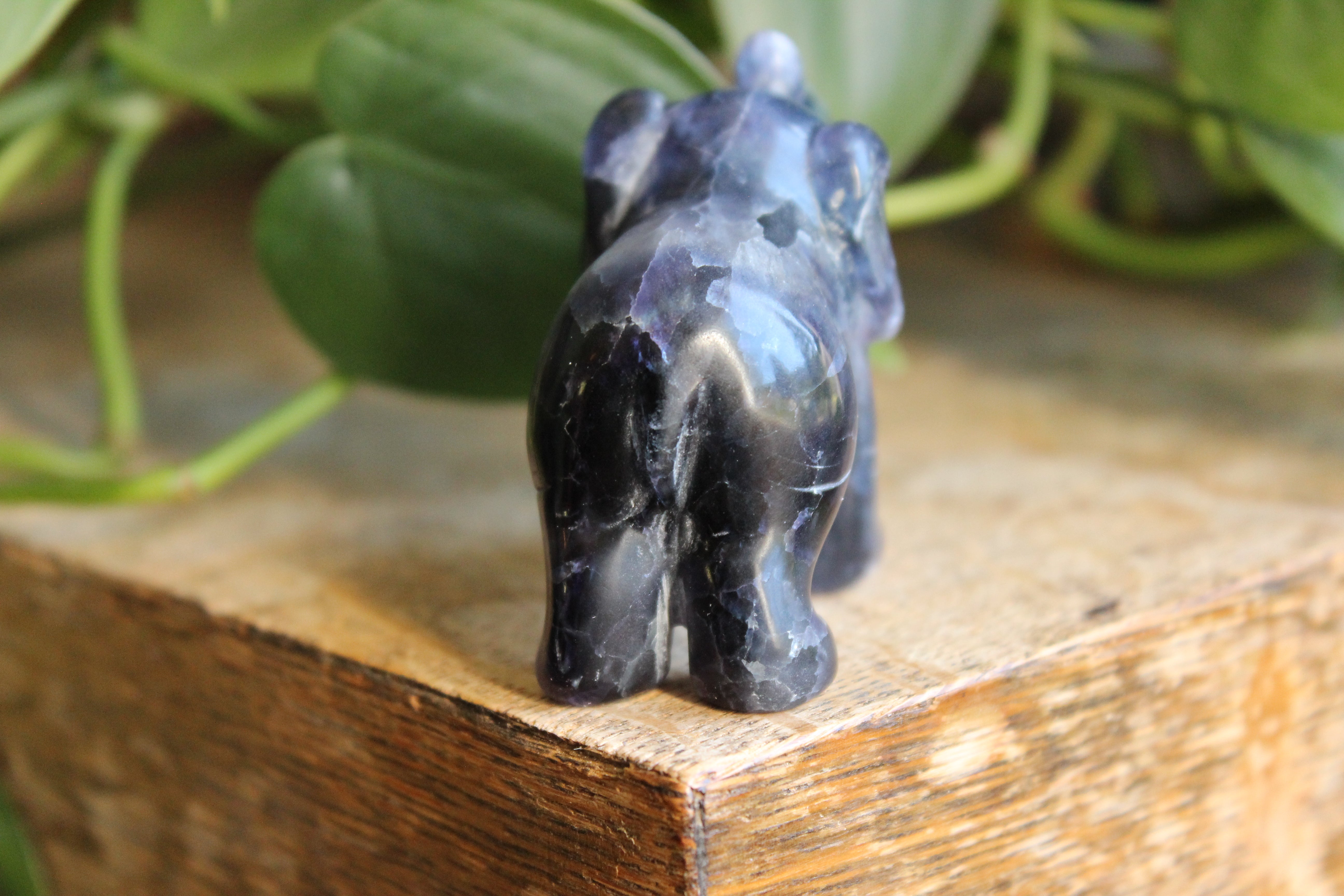 Fluorite elephant 1, new