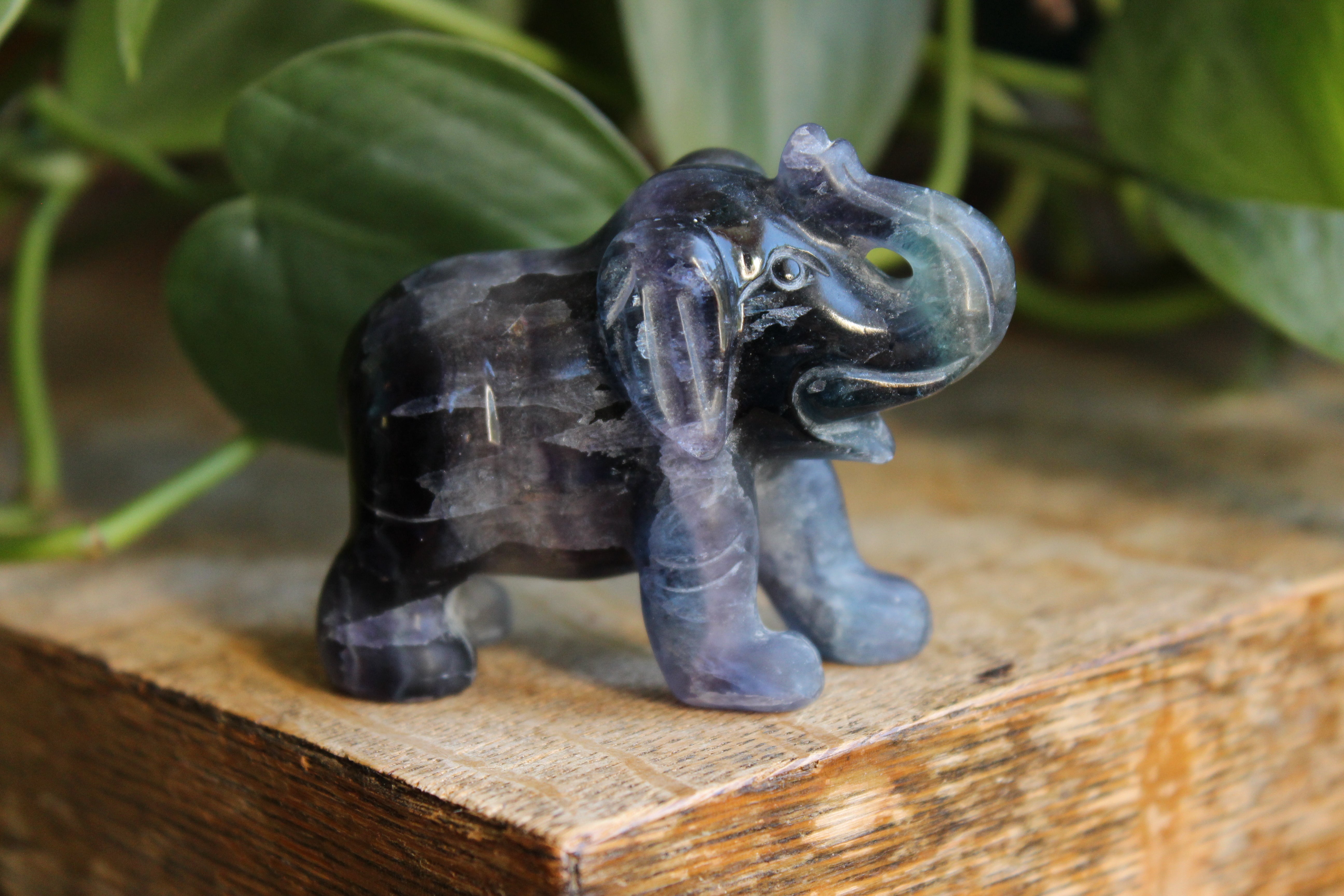 Fluorite elephant 1, new