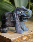Fluorite elephant 1, new