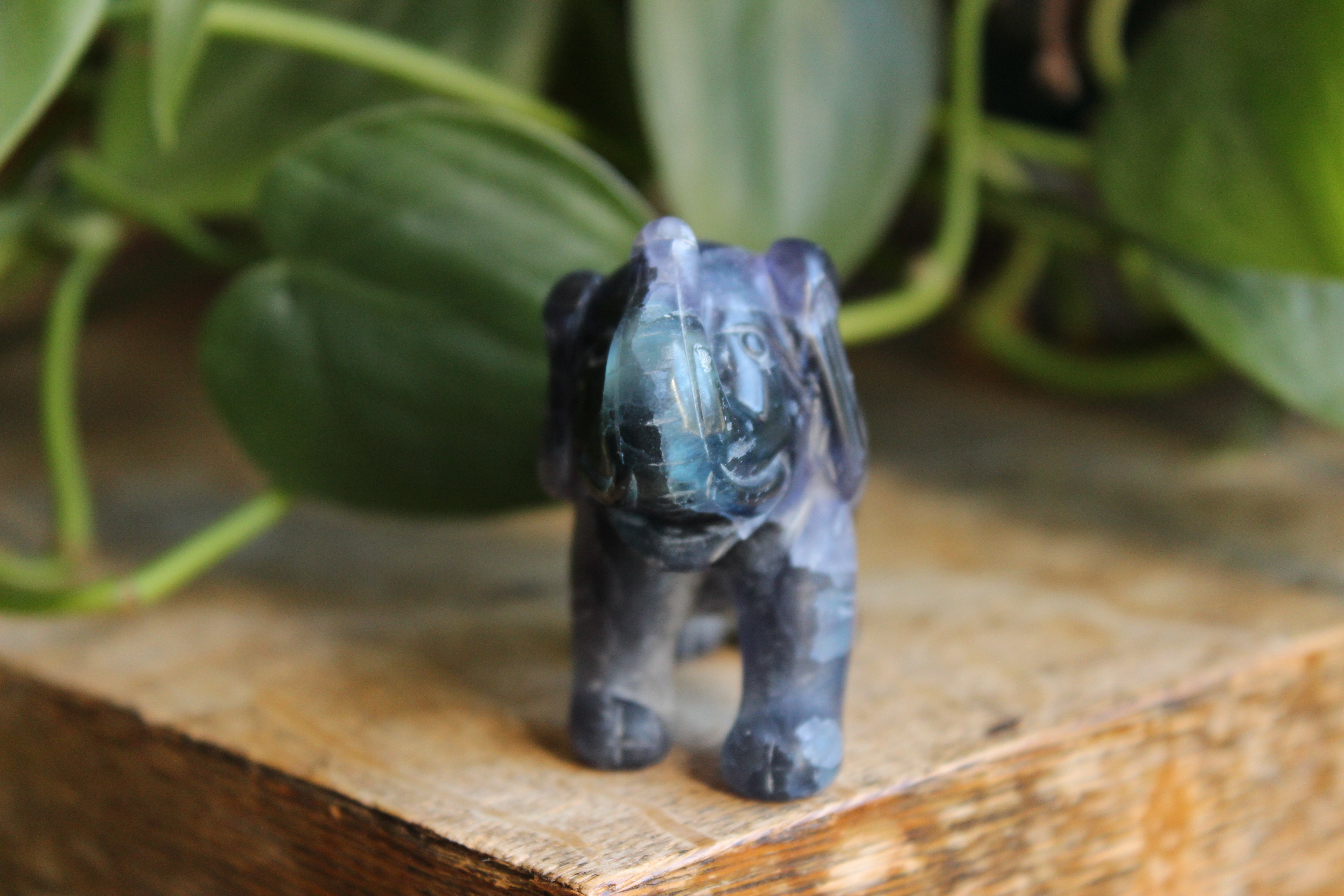Fluorite elephant 1, new