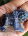 Fluorite elephant 1, new