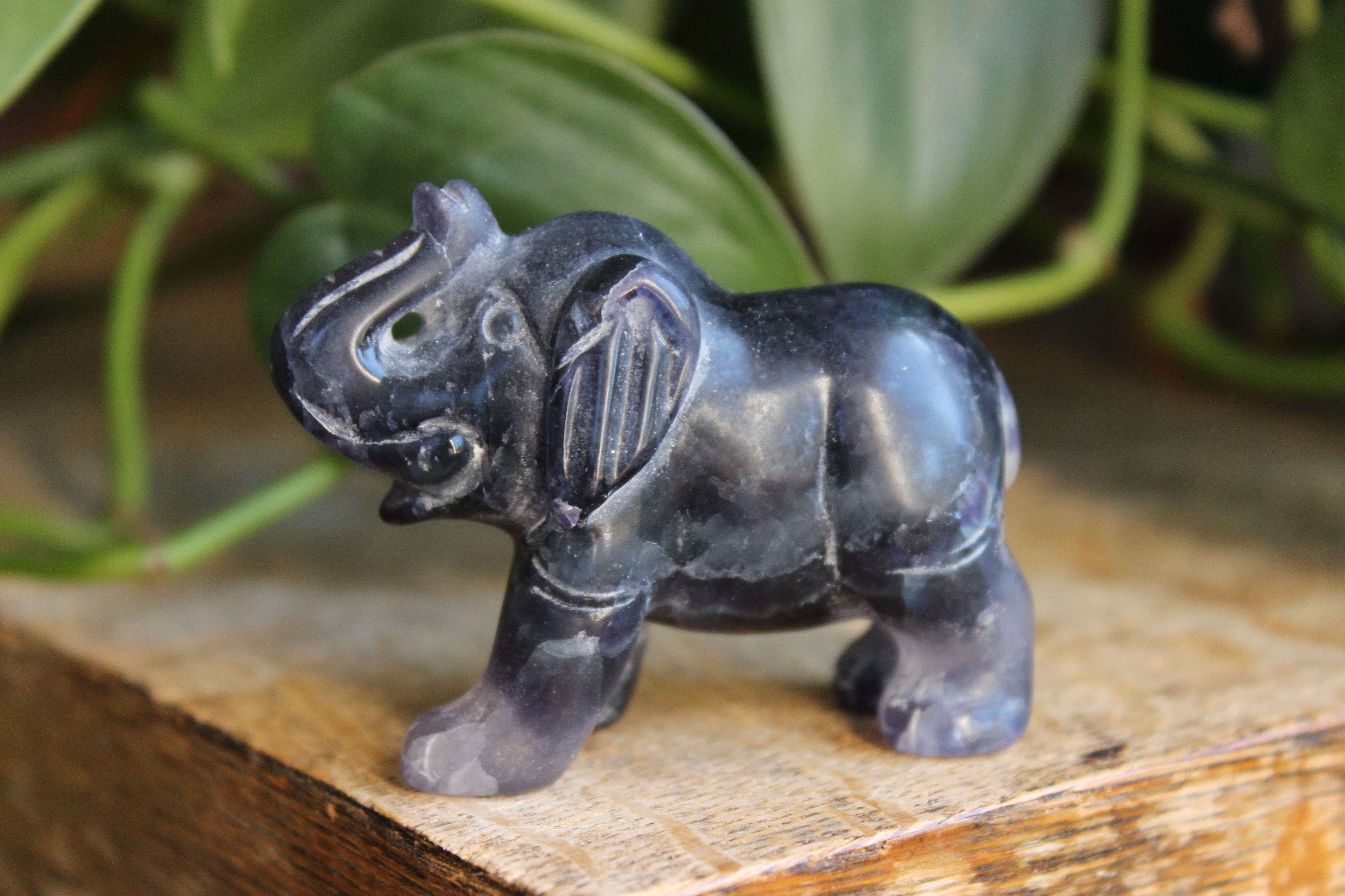 Fluorite elephant 2, new