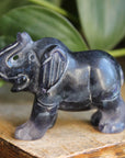 Fluorite elephant 2, new