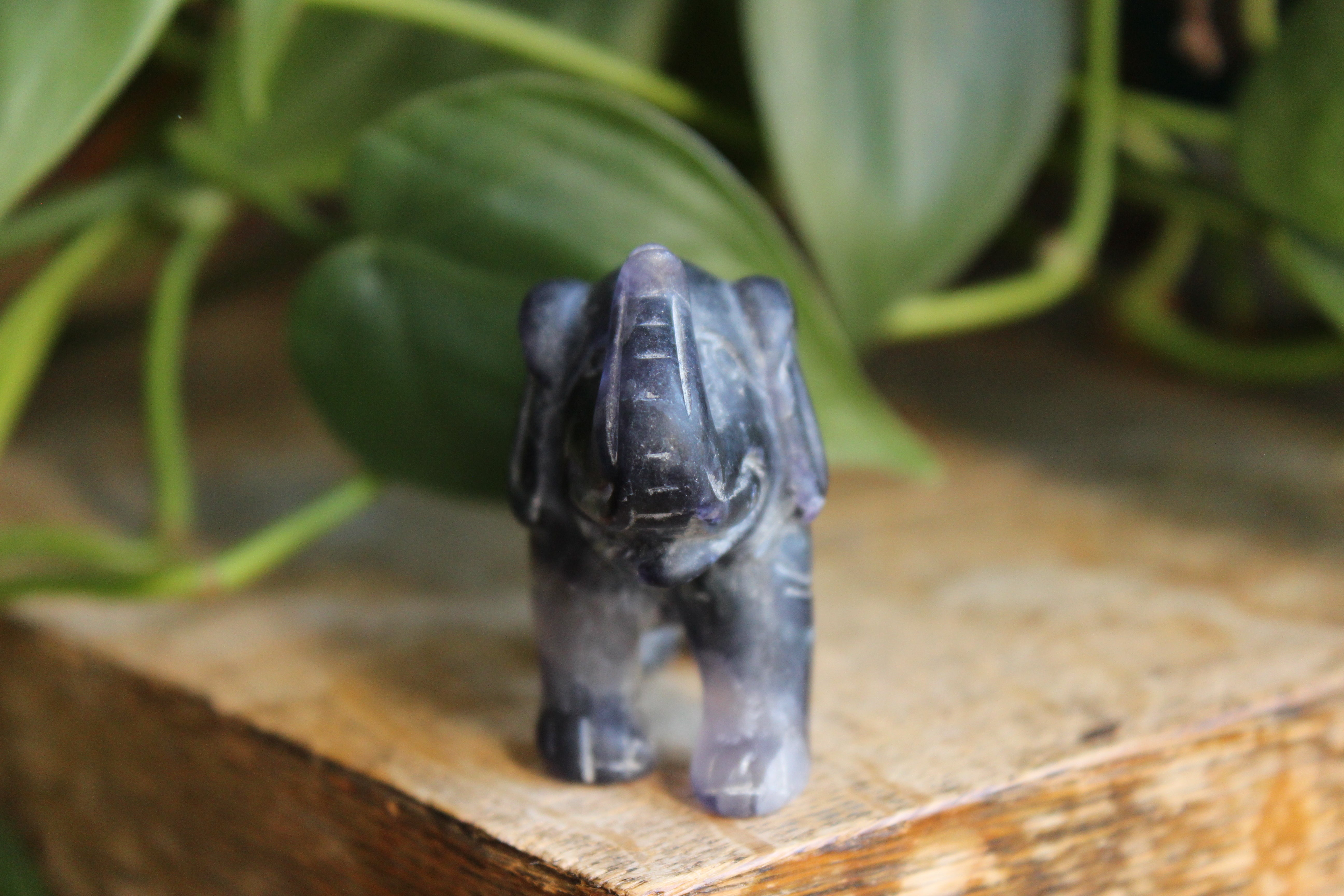 Fluorite elephant 2, new