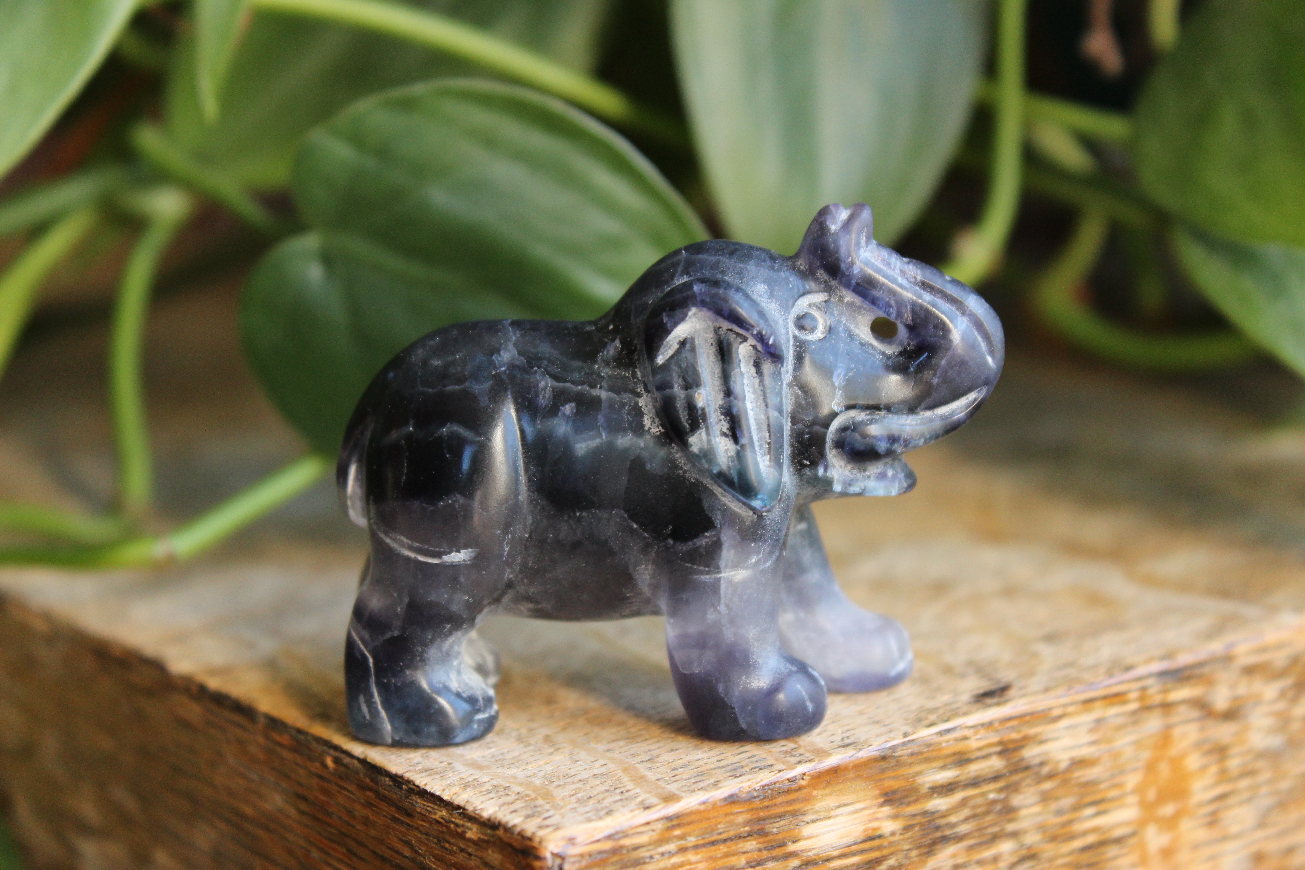 Fluorite elephant 2, new