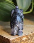 Fluorite elephant 2, new