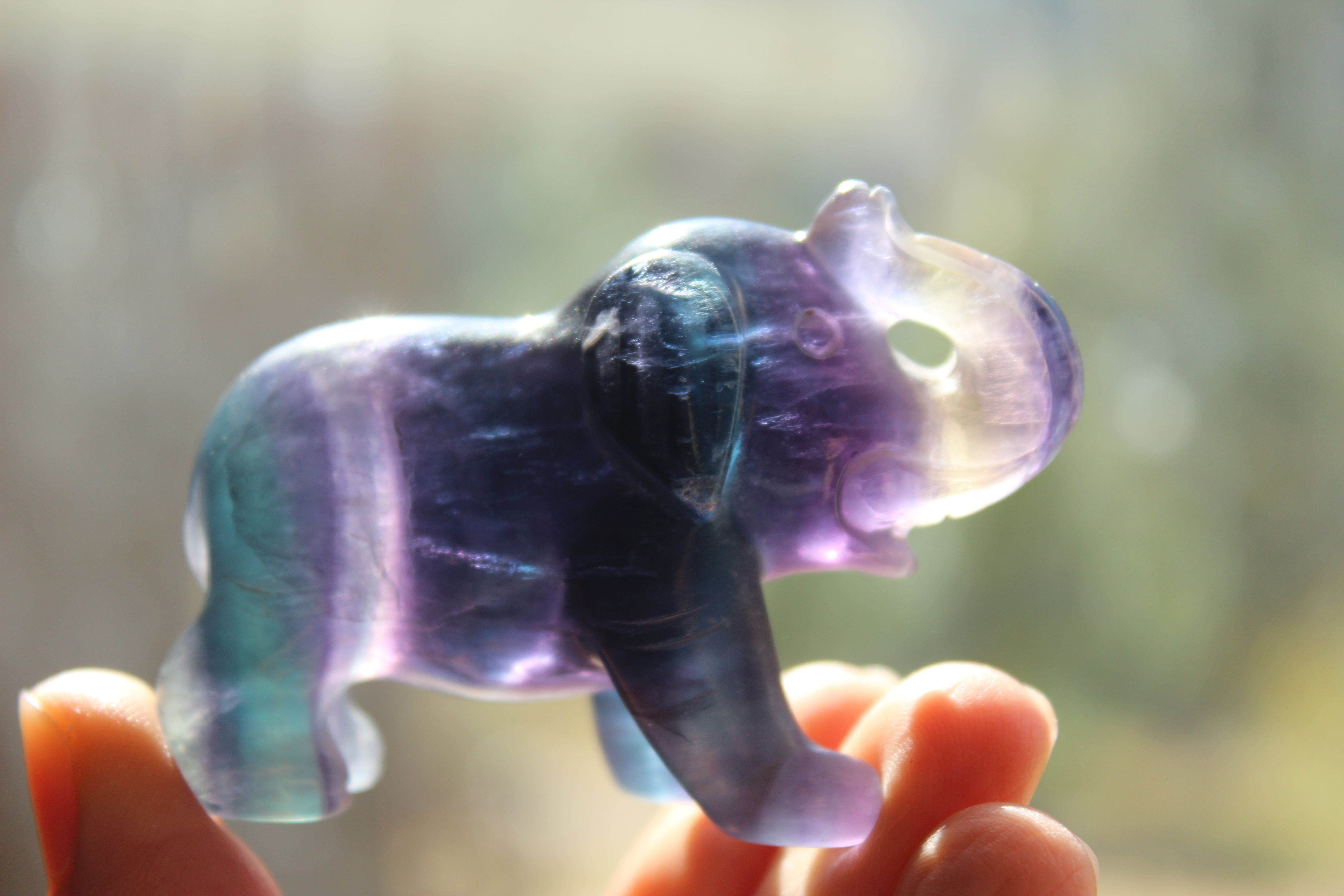 Fluorite elephant 3, new