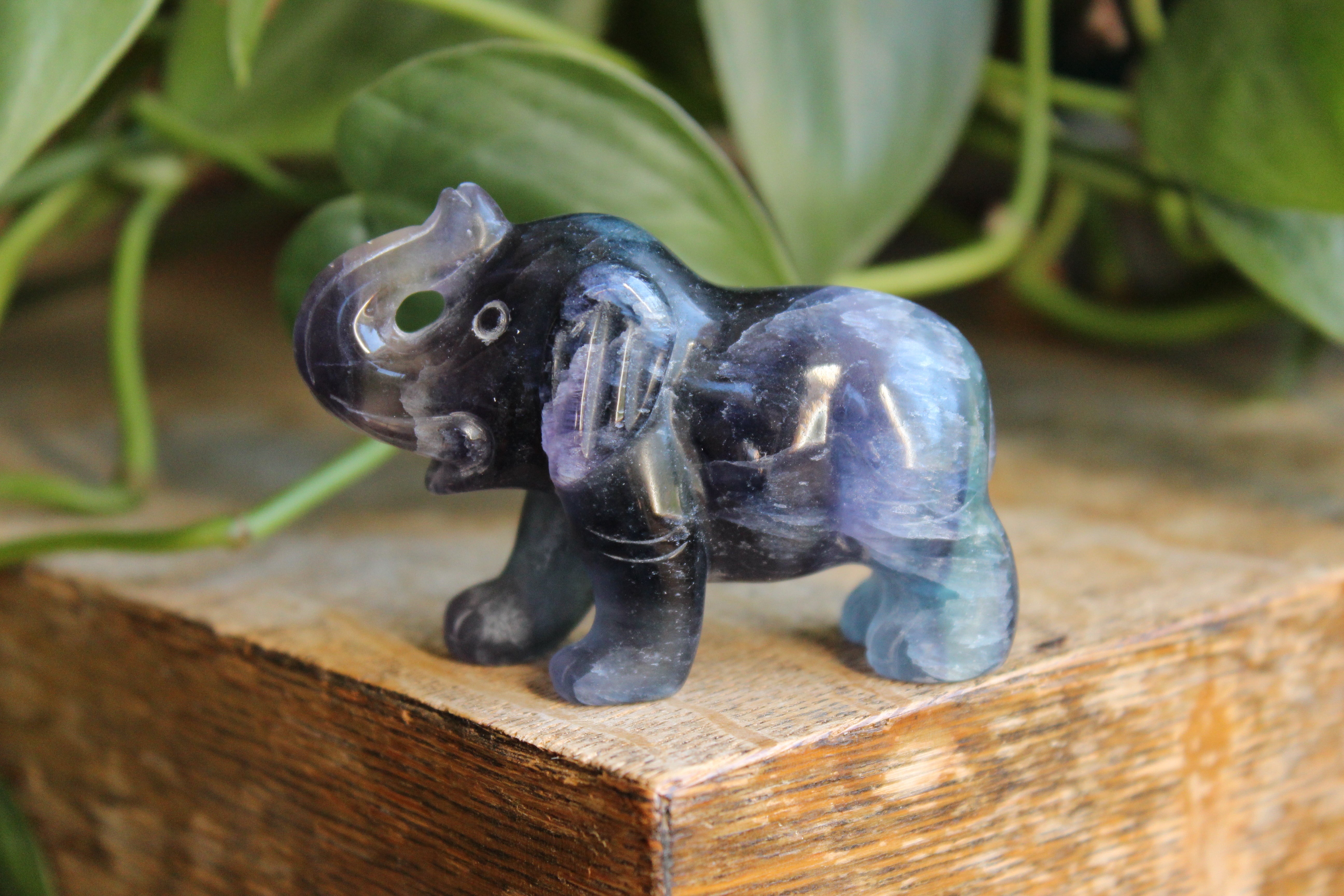 Fluorite elephant 3, new
