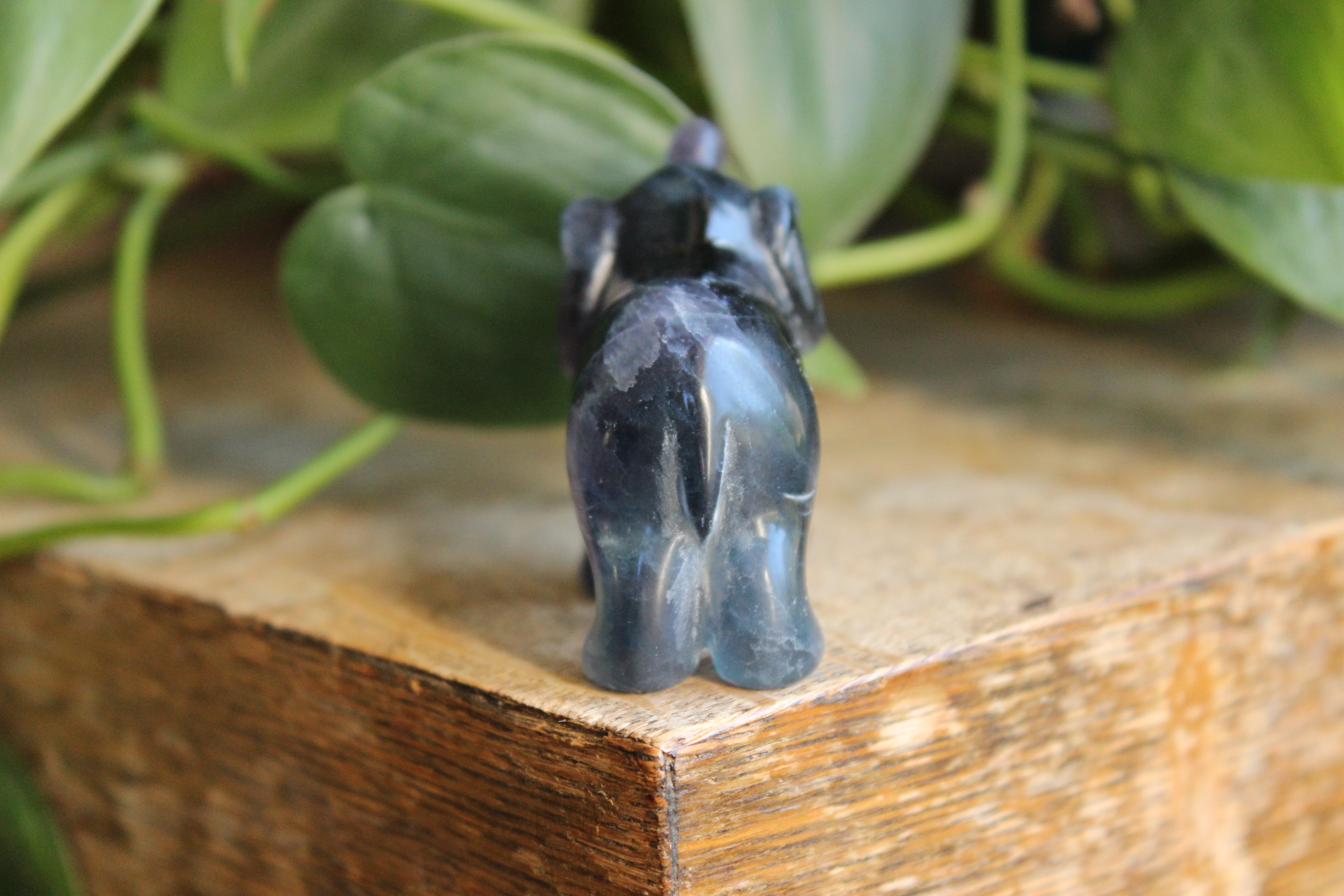 Fluorite elephant 3, new