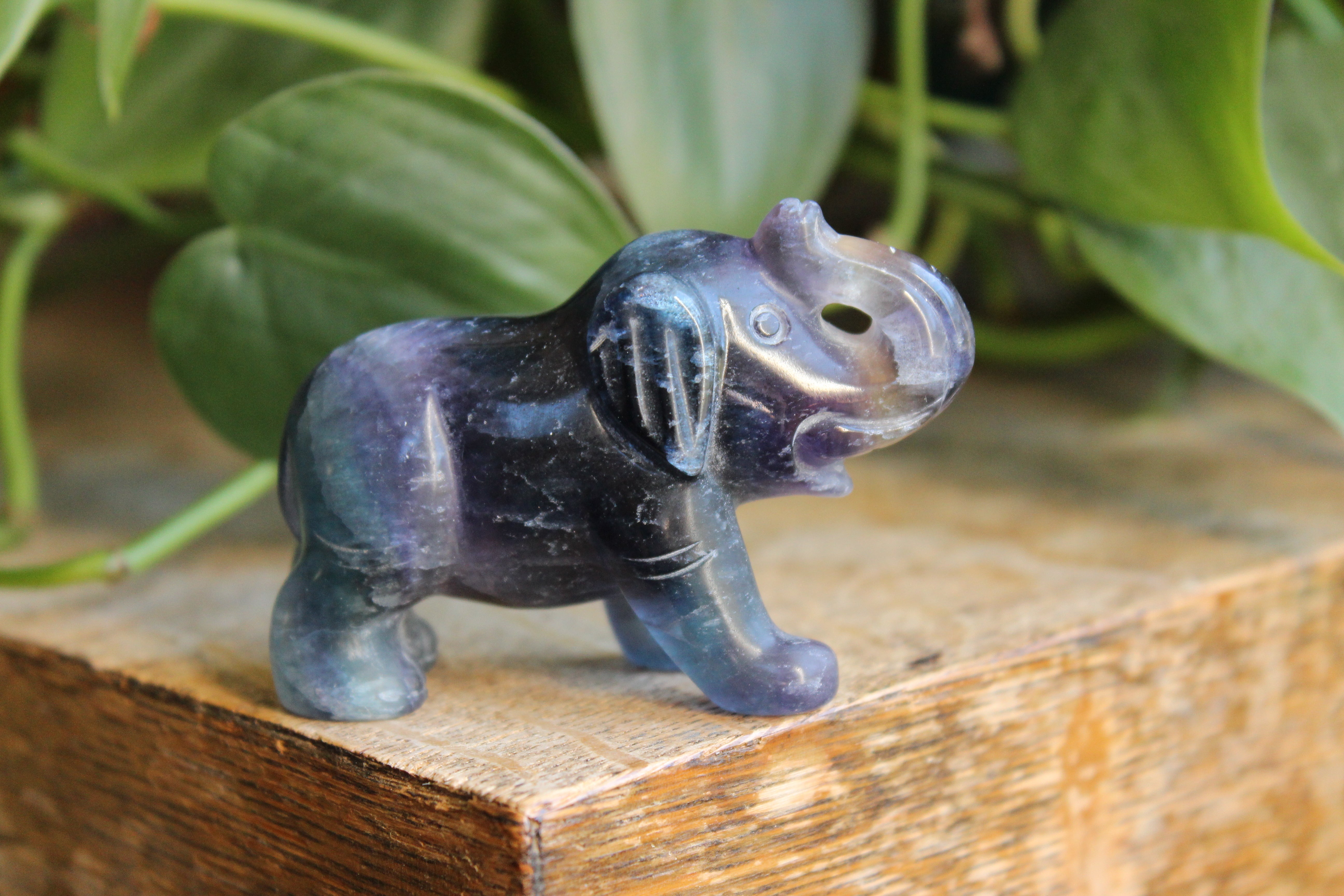 Fluorite elephant 3, new
