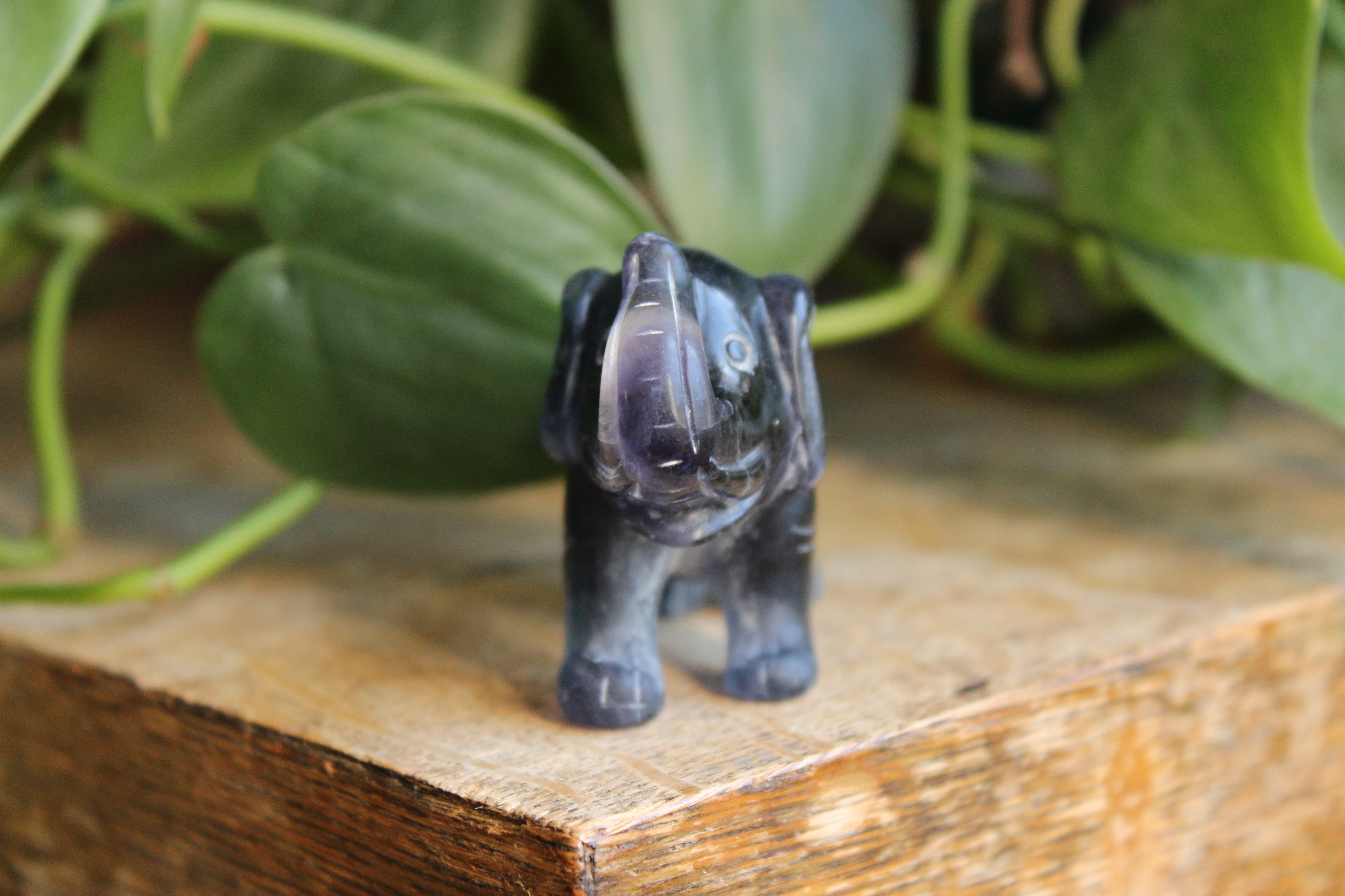 Fluorite elephant 3, new