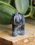 Fluorite elephant 3, new