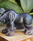 Fluorite elephant 4, new